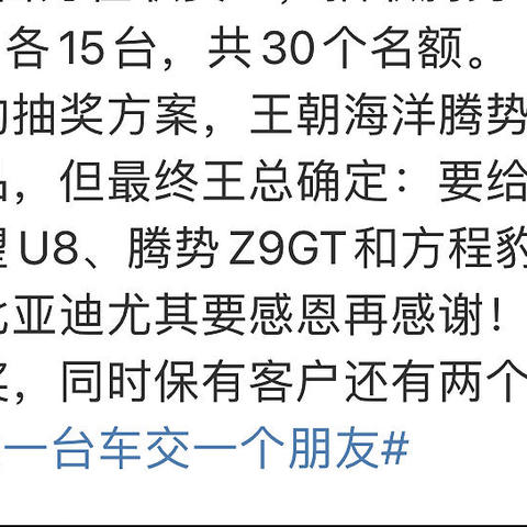 比亚迪30周年庆，抽30辆仰望送车主，这是我离仰望最近的一次