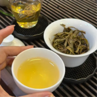 茉莉花茶哪家值得买？三大品牌选购推荐，闭眼入手不踩坑！