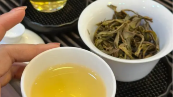 茉莉花茶哪家值得买？三大品牌选购推荐，闭眼入手不踩坑！