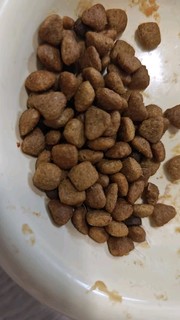 皇家猫粮 成猫猫粮 去毛球 IH34 通用粮 