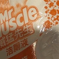 威猛先生（Mr Muscle）洁厕灵900g*2（松木清香+柑橘清香）