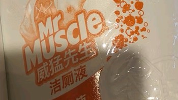 威猛先生（Mr Muscle）洁厕灵900g*2（松木清香+柑橘清香）