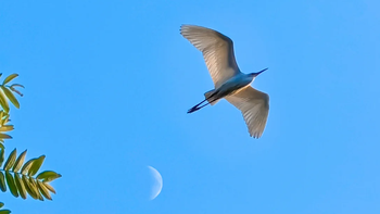 期待旅行 喜欢旅行 完美旅行！ 