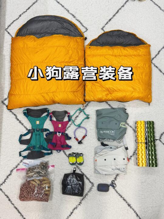 小狗的露营装备已经next level