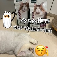 铲屎官必备：揭秘超人气猫粮！