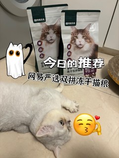 铲屎官必备：揭秘超人气猫粮！