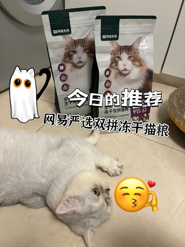 铲屎官必备：揭秘超人气猫粮！