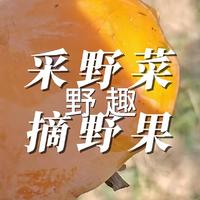 野趣 采野菜 摘野果