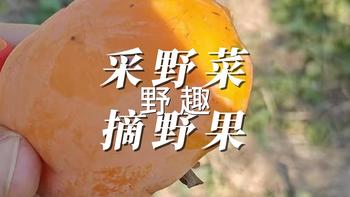 野趣 采野菜 摘野果 