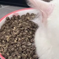 猫咪肠胃健康守护者——全佳泰猫粮！