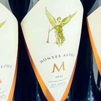 Montes蒙特斯三剑客——Montes Alpha M 蒙特斯阿尔法M