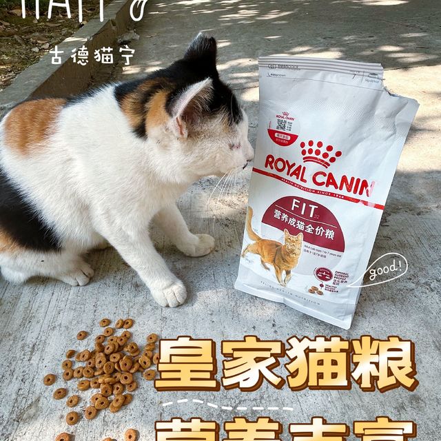 给校园里的猫学长准备皇家猫粮，看他们嘎嘎炫我也很开心