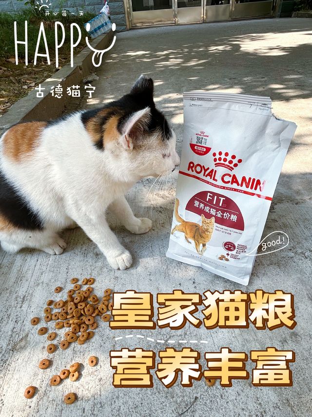 给校园里的猫学长准备皇家猫粮，看他们嘎嘎炫我也很开心