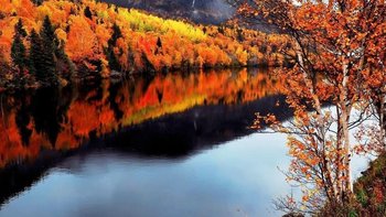 鳕鱼产业现状与发展趋势分析 