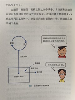 稍微有点深的《科学理论手册》