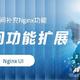 极空间功能扩展计划！为Z423补充Nginx功能，Nginx UI部署教程