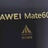 华为（HUAWEI） Mate 60 Pro白沙银12GB+512GB 卫星通话 超可靠玄武架构  旗舰鸿蒙智能手机|华为大额券