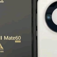 华为（HUAWEI） Mate 60 Pro白沙银12GB+512GB 卫星通话 超可靠玄武架构  旗舰鸿蒙智能手机|华为大额券