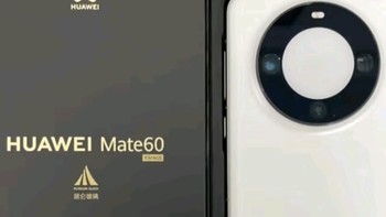 华为（HUAWEI） Mate 60 Pro白沙银12GB+512GB 卫星通话 超可靠玄武架构  旗舰鸿蒙智能手机|华为大额券