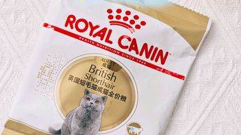 营养丰富，毛色发亮，皇家猫粮用贵族品质书写“肥猫日记”。 