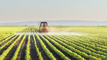 护好黑土地 增收有底气 