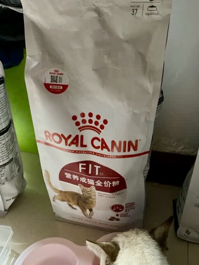 猫粮我选皇家