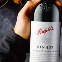 奔富（Penfolds）——澳洲红酒典范，商务与约会的尊贵之选