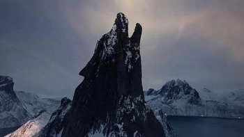 绿萝净化空气功能及其应用探讨 