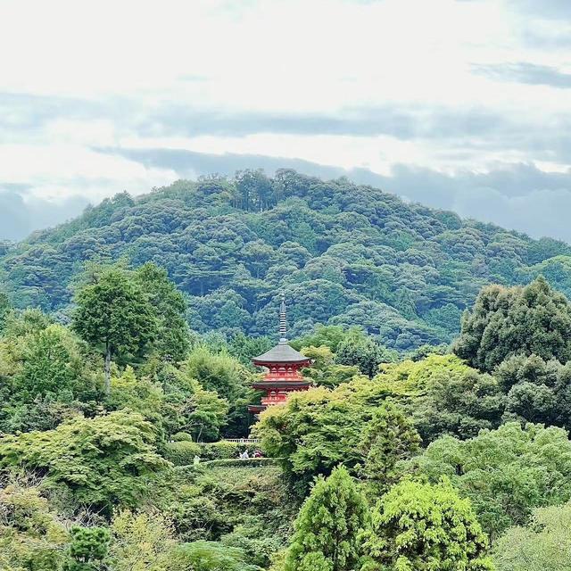 日本自由行|大阪-京都-神户