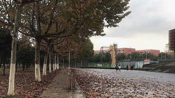 今天要冻死了，这也太冷了啊！ 