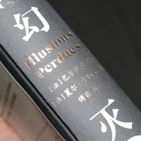 《幻灭》：巴尔扎克笔下的人性警示录 📚