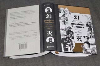 《幻灭》：巴尔扎克笔下的人性警示录 📚