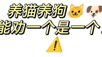 双十一囤货：这些猫狗保健品不是智商税