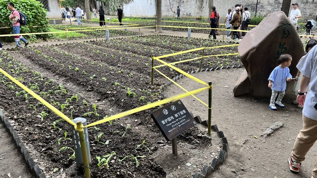 百草园大家还是不要轻易来，会后悔的