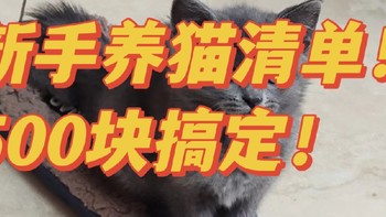 新手养猫，到底需要多少钱？新手养猫清单！