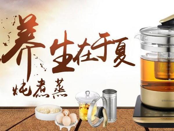 2024年养生壶推荐|送长辈领导亲戚朋友有什么养生壶推荐？常见养生壶知识分类、品牌有哪些？“九阳、小熊、美的、苏泊尔、小米、北鼎、摩飞、魔膳师、荣事达和北美电器”等养生壶知名品牌推荐及选购指南！