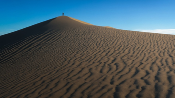 沙漠之旅：神秘的金色梦境 