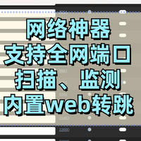 黑客神器？端口扫描、监控、一键转跳WEB应用，极空间部署「WatchYourPorts」突破远程数量限制