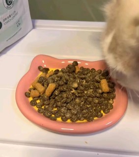 猫咪美食盛宴：蓝氏全价猫粮，每一口都是享受！