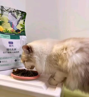 猫咪美食盛宴：蓝氏全价猫粮，每一口都是享受！