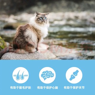  Orijen渴望六种鱼猫粮：自然馈赠的美味盛宴