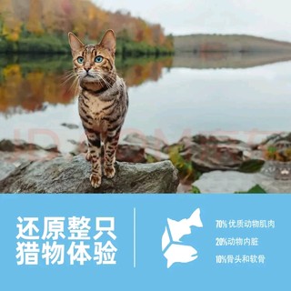  Orijen渴望六种鱼猫粮：自然馈赠的美味盛宴