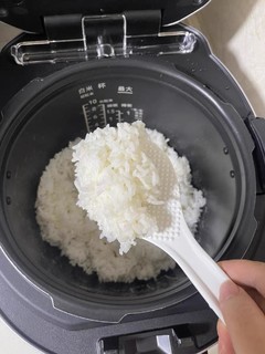 高能干饭人，用高压IH电饭煲