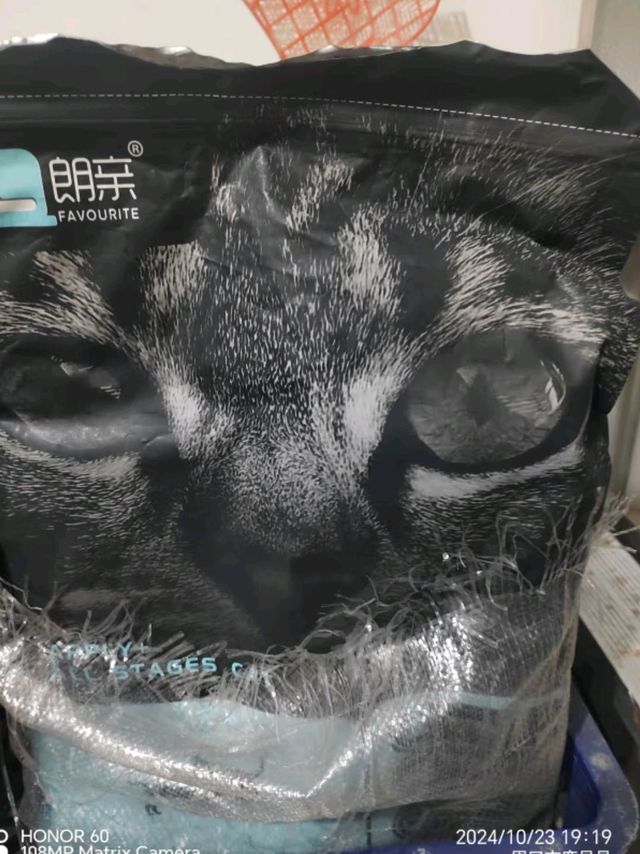 猫咪大变身！朗亲猫粮助力英短增肥