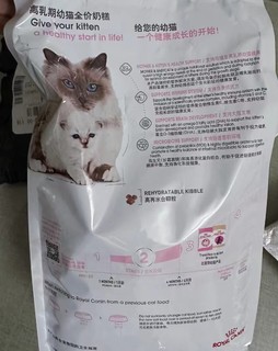 奶猫猫粮第一步，皇家奶糕炫进肚