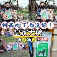 😜皇家犬粮，柯基吃了都说好😍