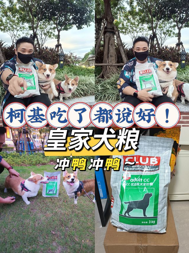 😜皇家犬粮，柯基吃了都说好😍