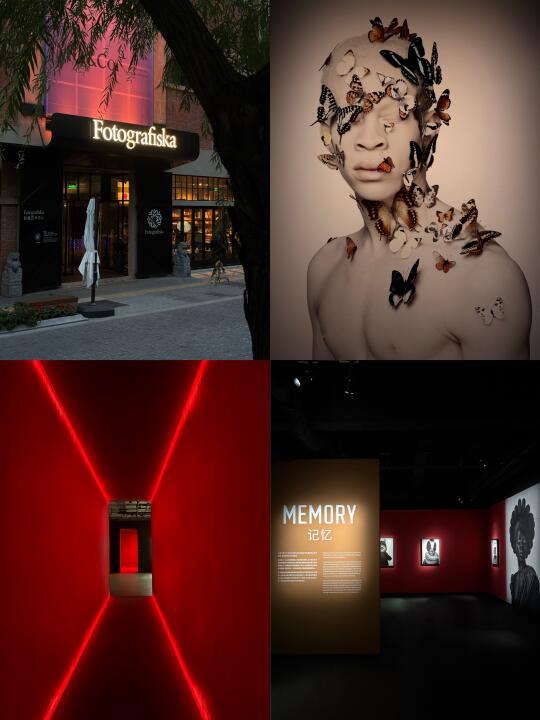 上海秋日C位展｜热带的色彩与女性的力量