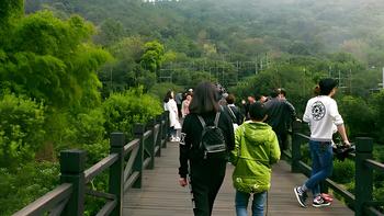 秋高气爽，苏州适合徒步和闲逛的10条免费步道线路推荐 