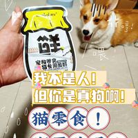 🐶我不是人！但你是真的狗啊！猫零食糊弄狗呢！